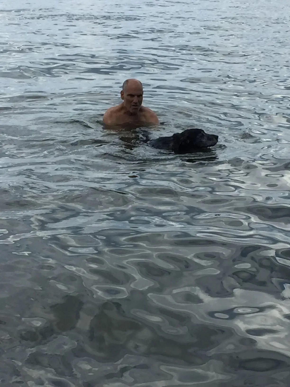 Man swimming in lake with a black dog; both are partially submerged.