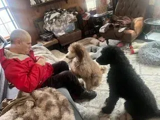 Person in red jacket sits with two poodles on a bed in a cluttered room.