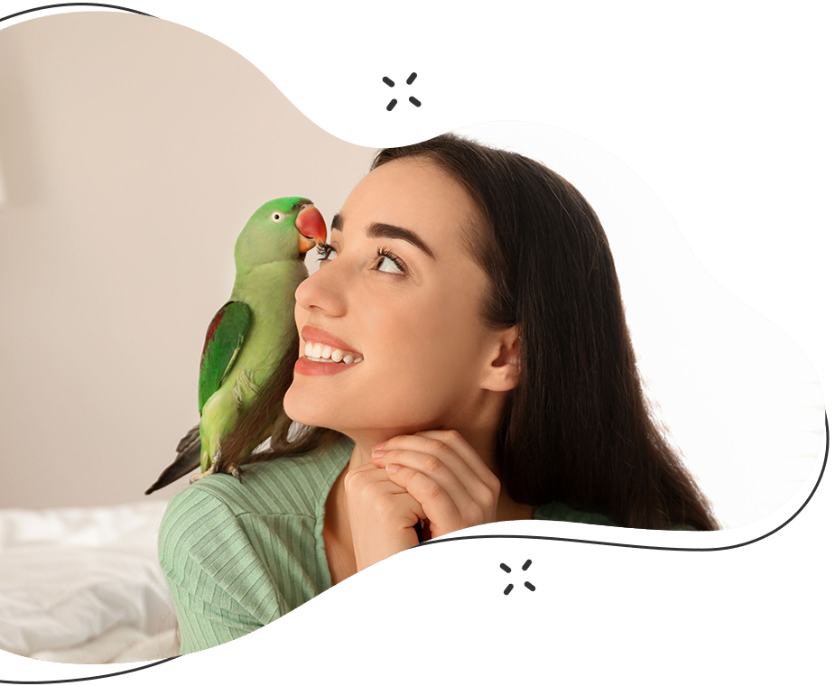 Woman smiling with a green parrot on her shoulder, indoors. Woman smiling with a green parrot on her shoulder, indoors.