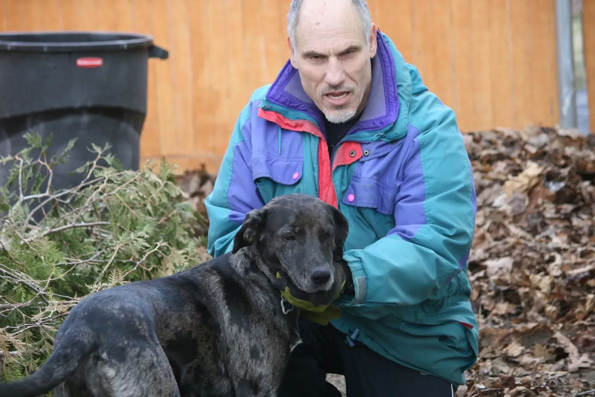 Man in blue jacket pets a brindle dog, outdoors by a garbage can and leaves. Man in blue jacket pets a brindle dog, outdoors by a garbage can and leaves.