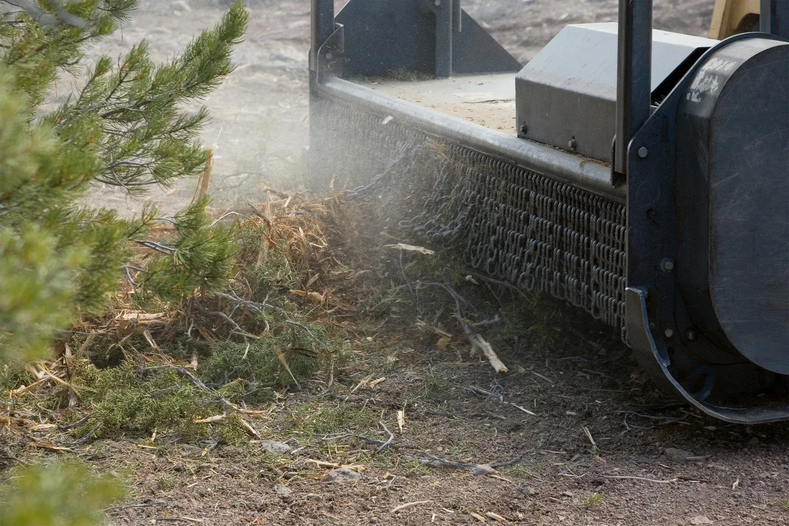 A machine is cutting down a tree in the dirt.