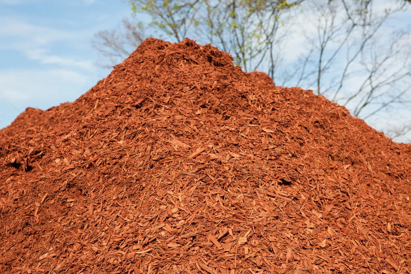 A pile of red mulch with trees in the background.