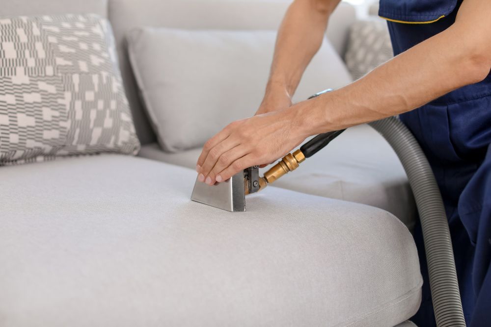 An Upholstery Cleaning