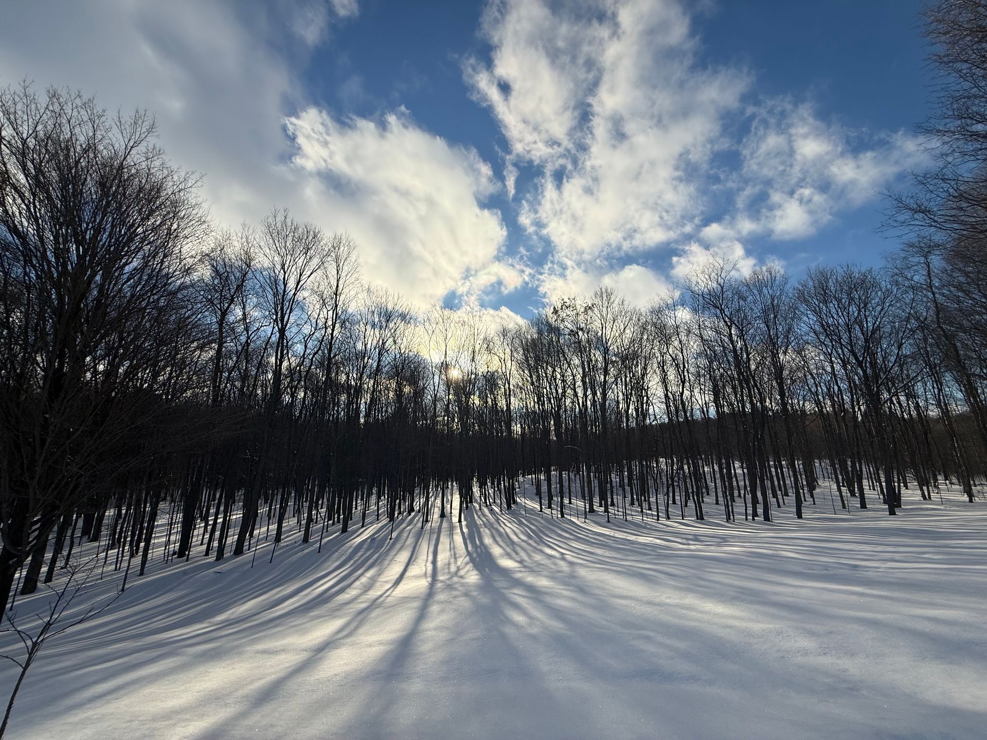 Ridges sunny winter day