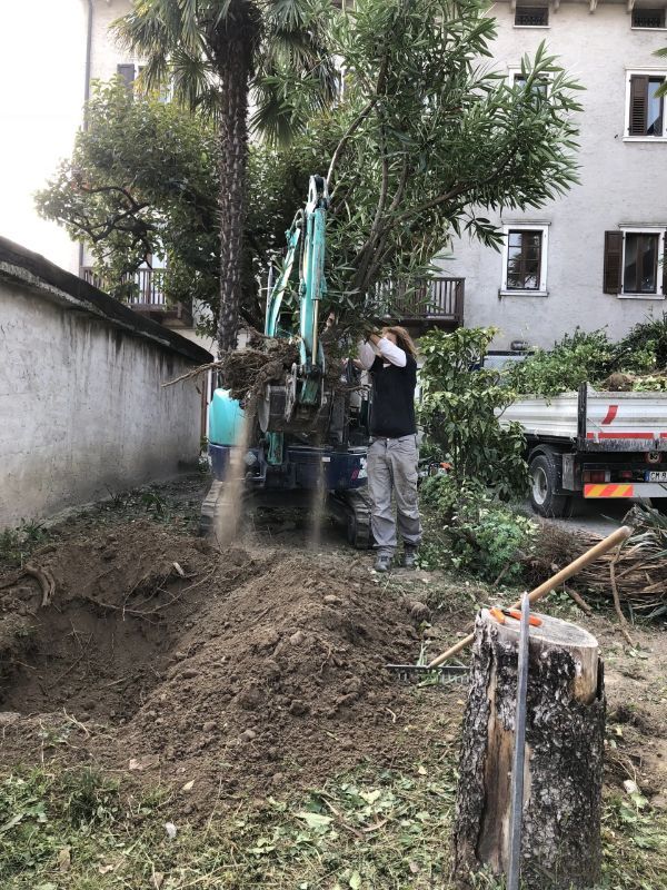 sistemazione di un giardino