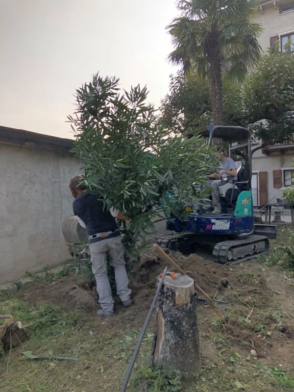intervento per la sistemazione di un giardino