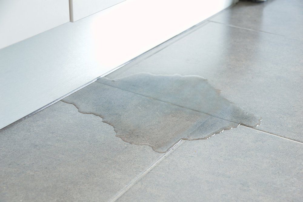 Mold Remediation — Close-up Photo Of Flooded Floor in Ipswich, MA