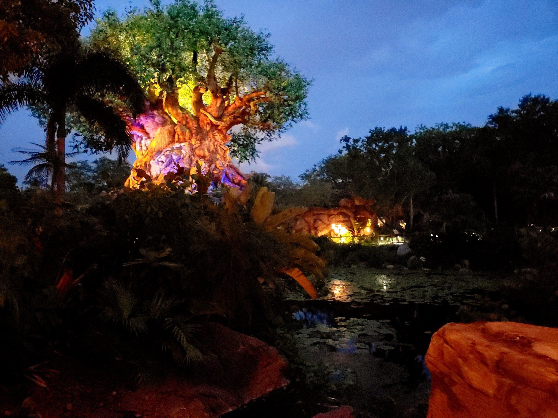 Walt Disney World Moonlight Magic Events In 2020