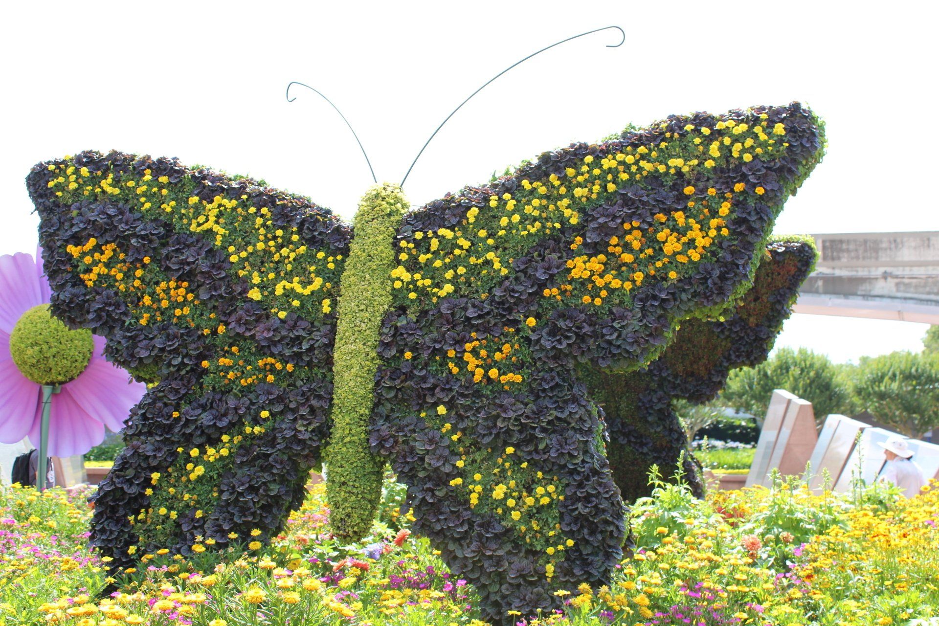 Giant butterfly at the 2019 Epcot International Flower & Garden Festival
