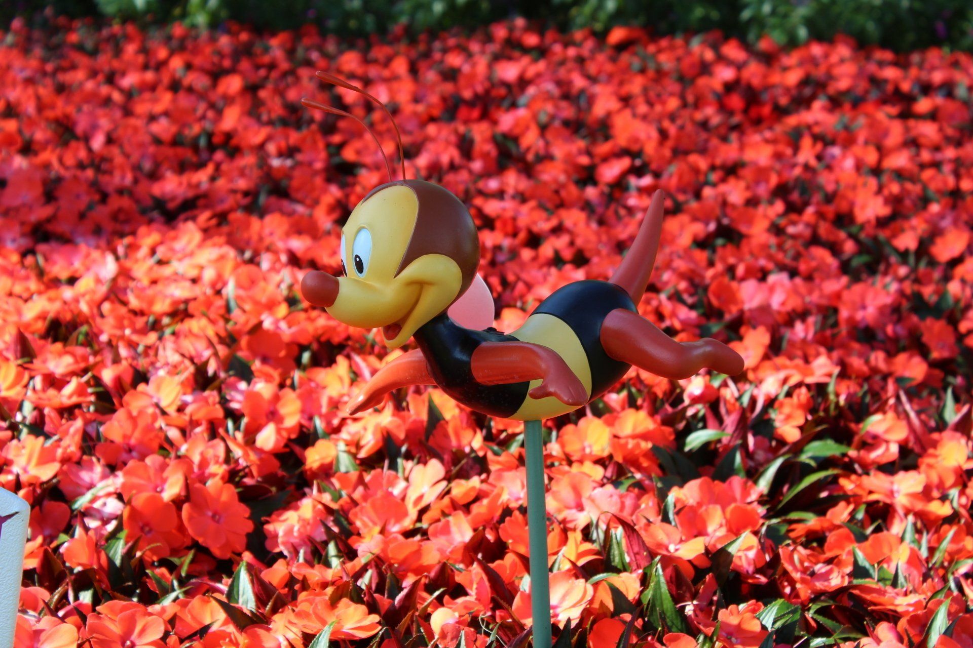 Bee at the 2019 Epcot International Flower & Garden Festival