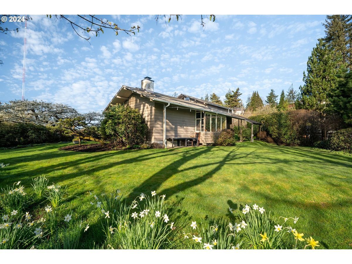House with green lawn, trees, and daffodils under a blue sky with clouds.