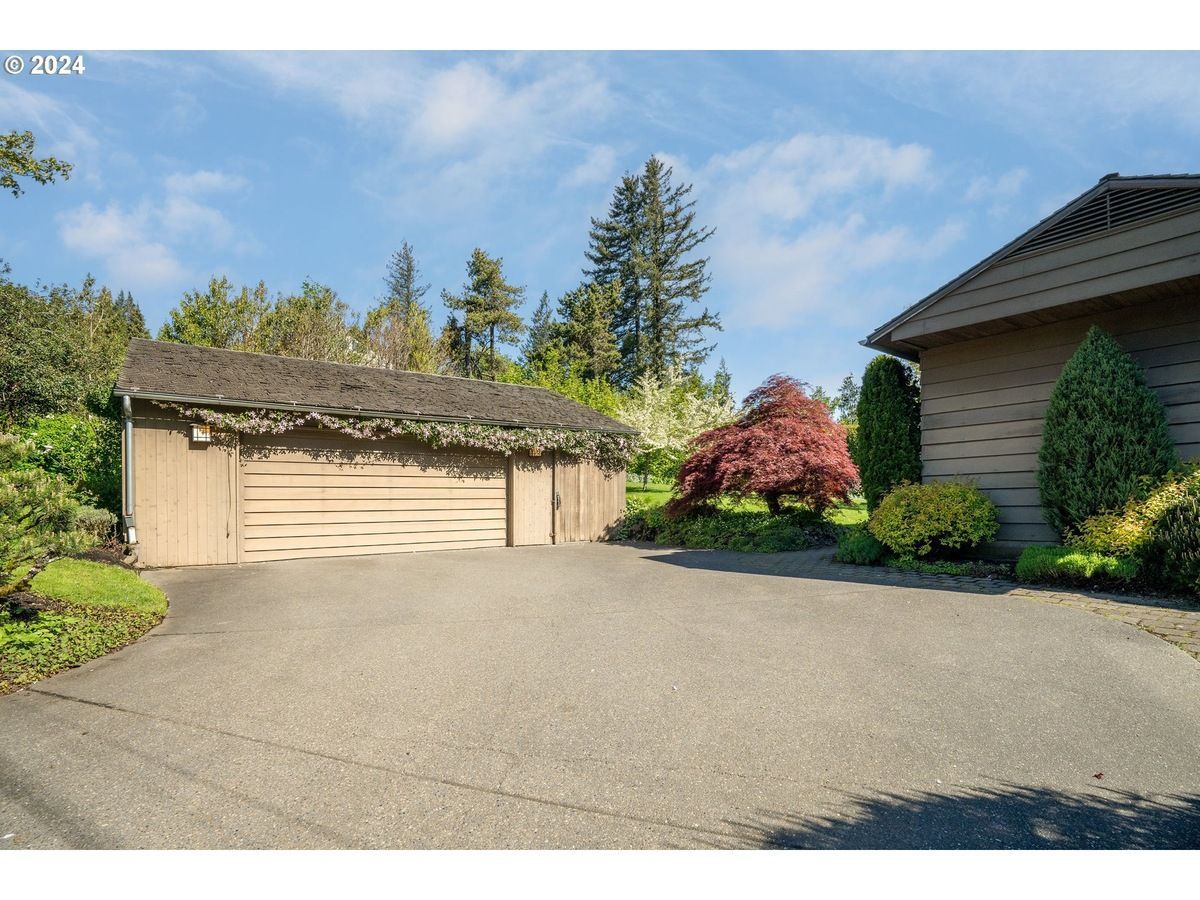 Asphalt driveway leading to a weathered two-car garage with overgrown roof, a maple tree, and house on a sunny day.