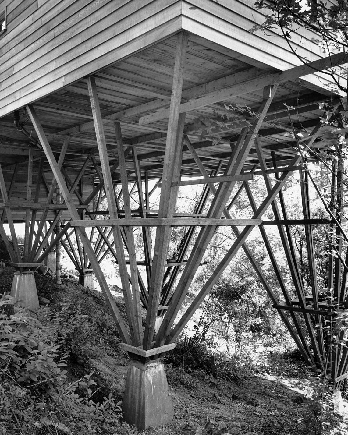 Wooden building supported by angled beams on a hillside.