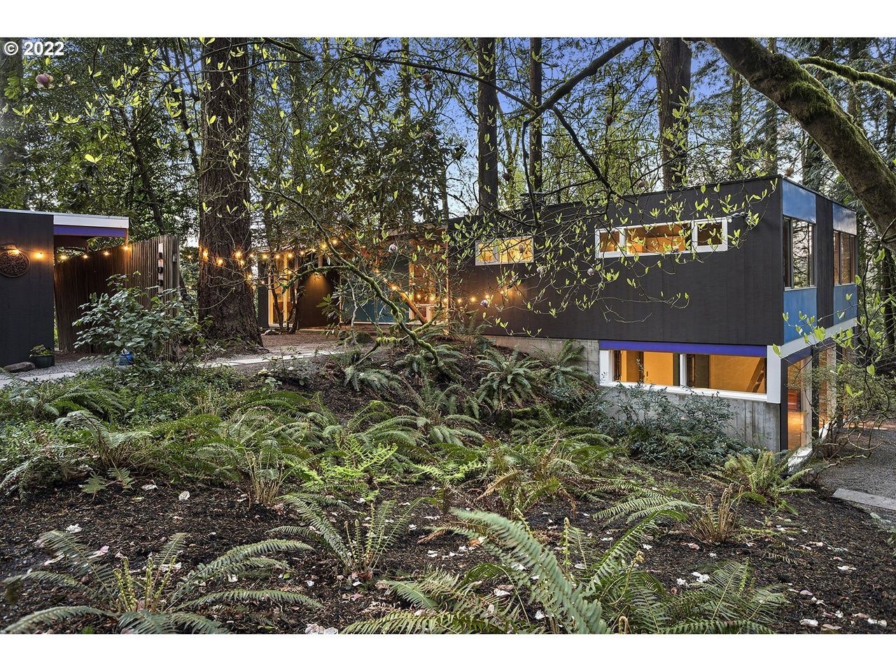 Modern home in a wooded area with string lights, ferns, and dark blue exterior.
