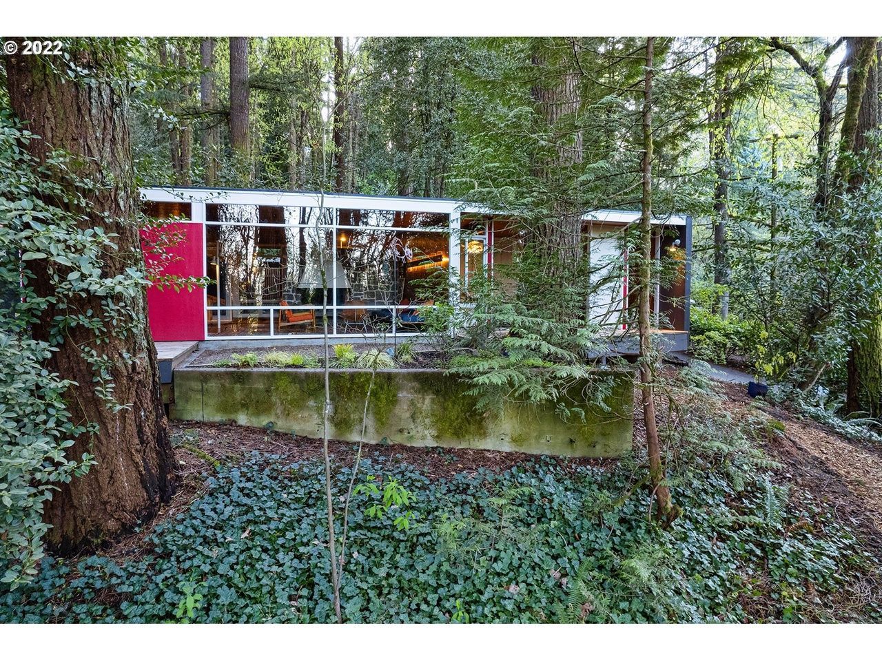 Modern glass-walled house with red door nestled amongst tall trees in a wooded area.
