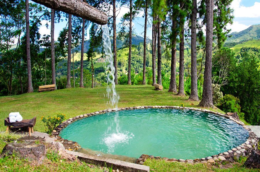 Uma piscina no meio de uma floresta com uma cachoeira saindo dela