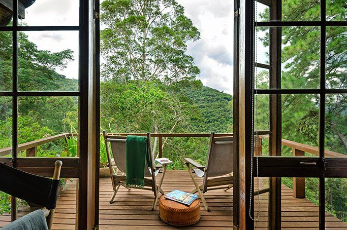 Um deck de madeira com cadeiras e vista para uma floresta.