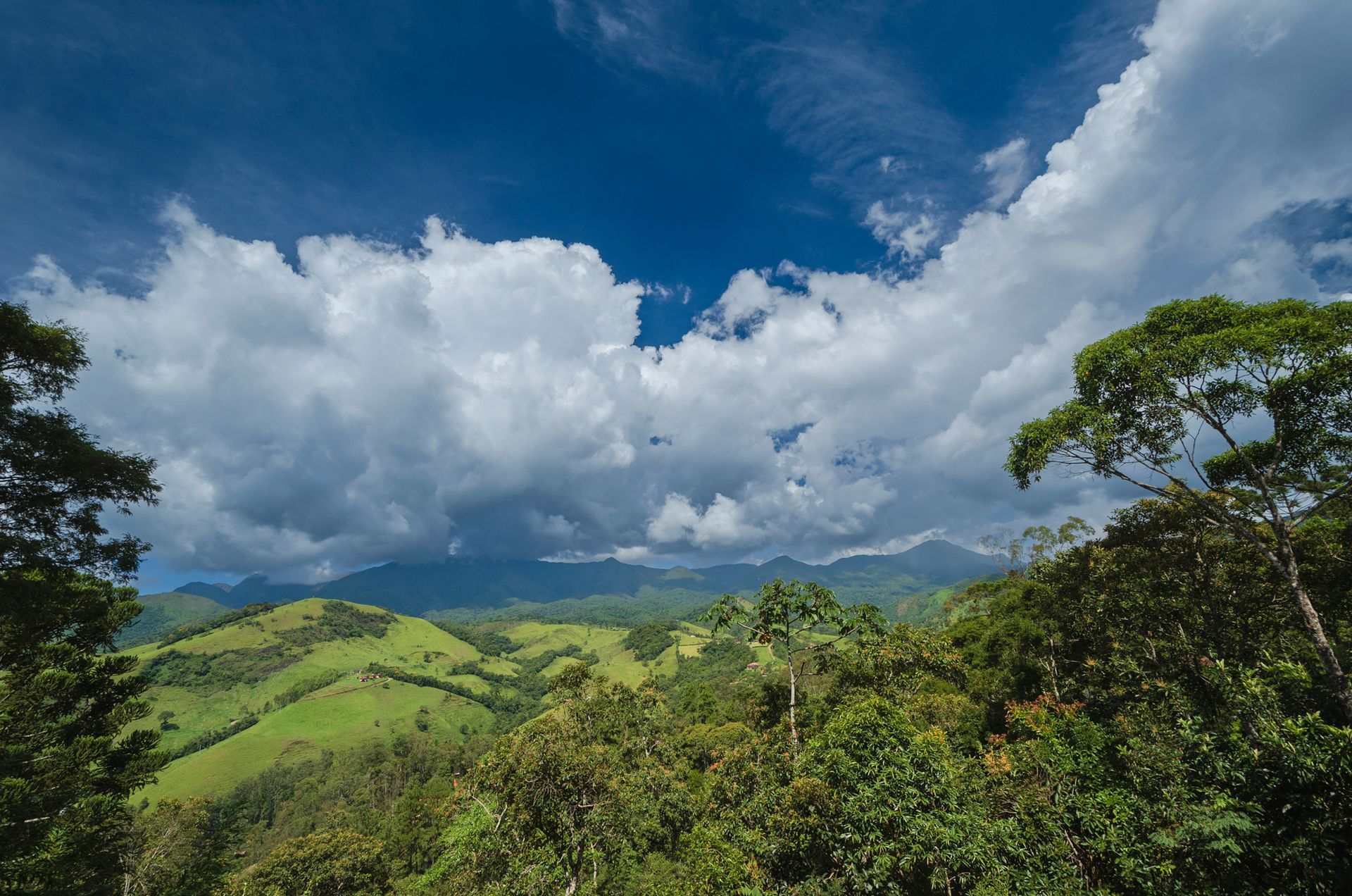 Uma vista de uma colina verdejante com árvores e nuvens no céu.