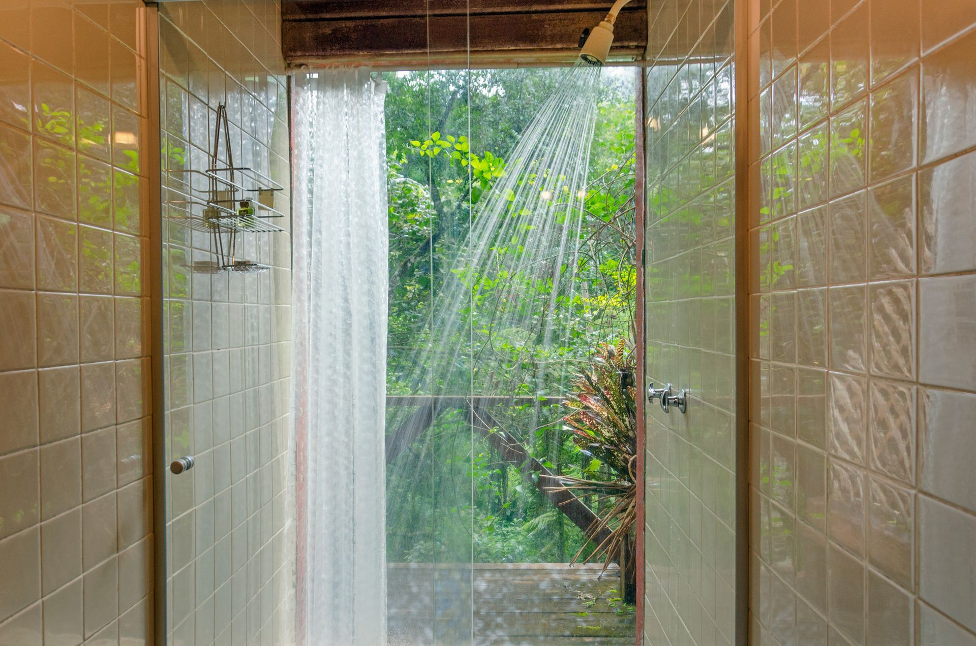 Um chuveiro com cortina e vista para as árvores lá fora.