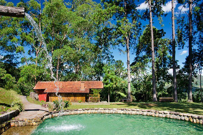 Uma fonte está borrifando água em um lago no meio de uma floresta.