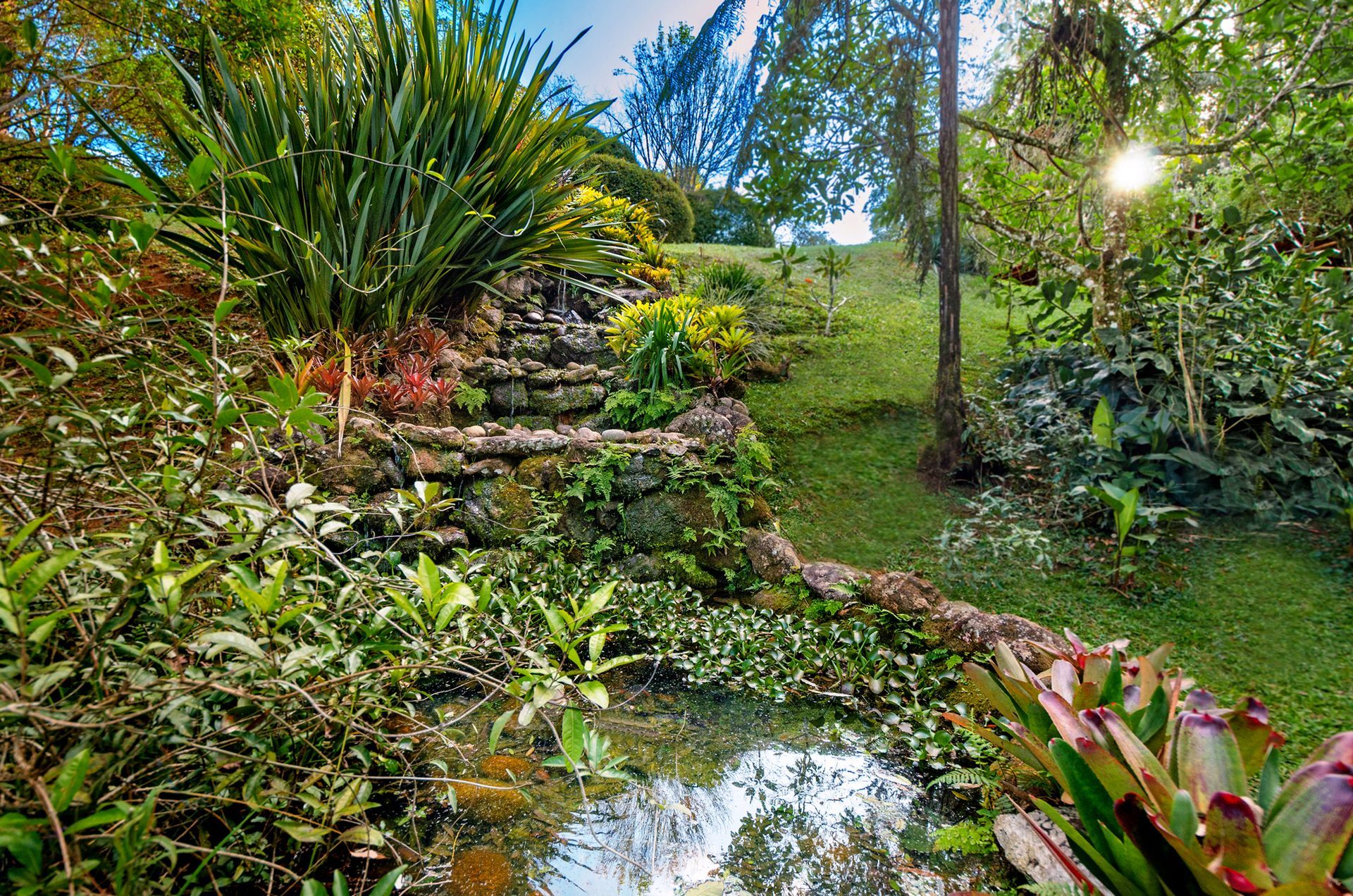 Um pequeno lago no meio de um jardim verdejante cercado por árvores e plantas.