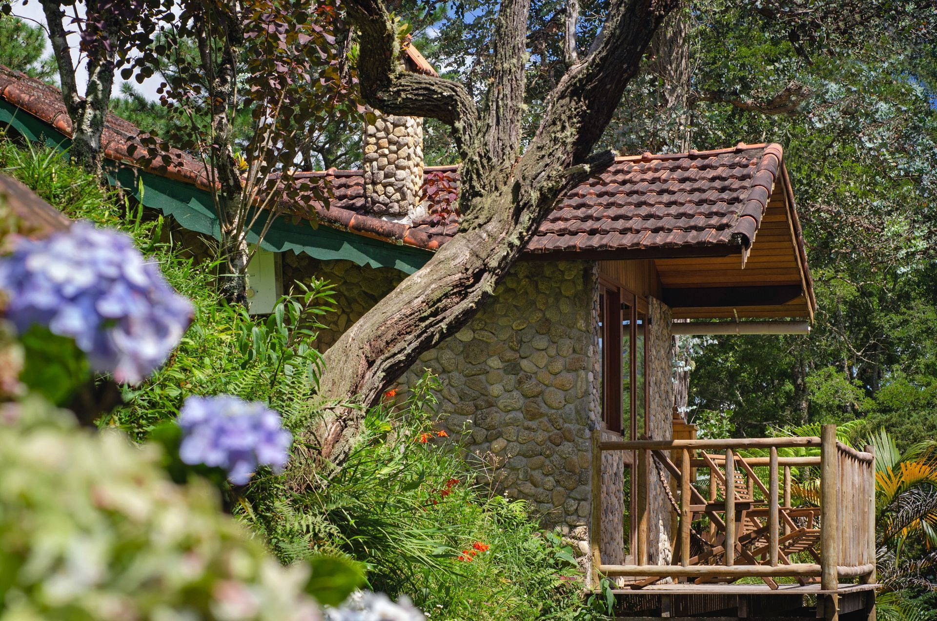 Uma pequena casa com varanda cercada por árvores e flores.