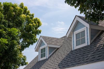 Residential Roofs With Trees — Oak Ridge, TN — Brogdon Roofing Inc