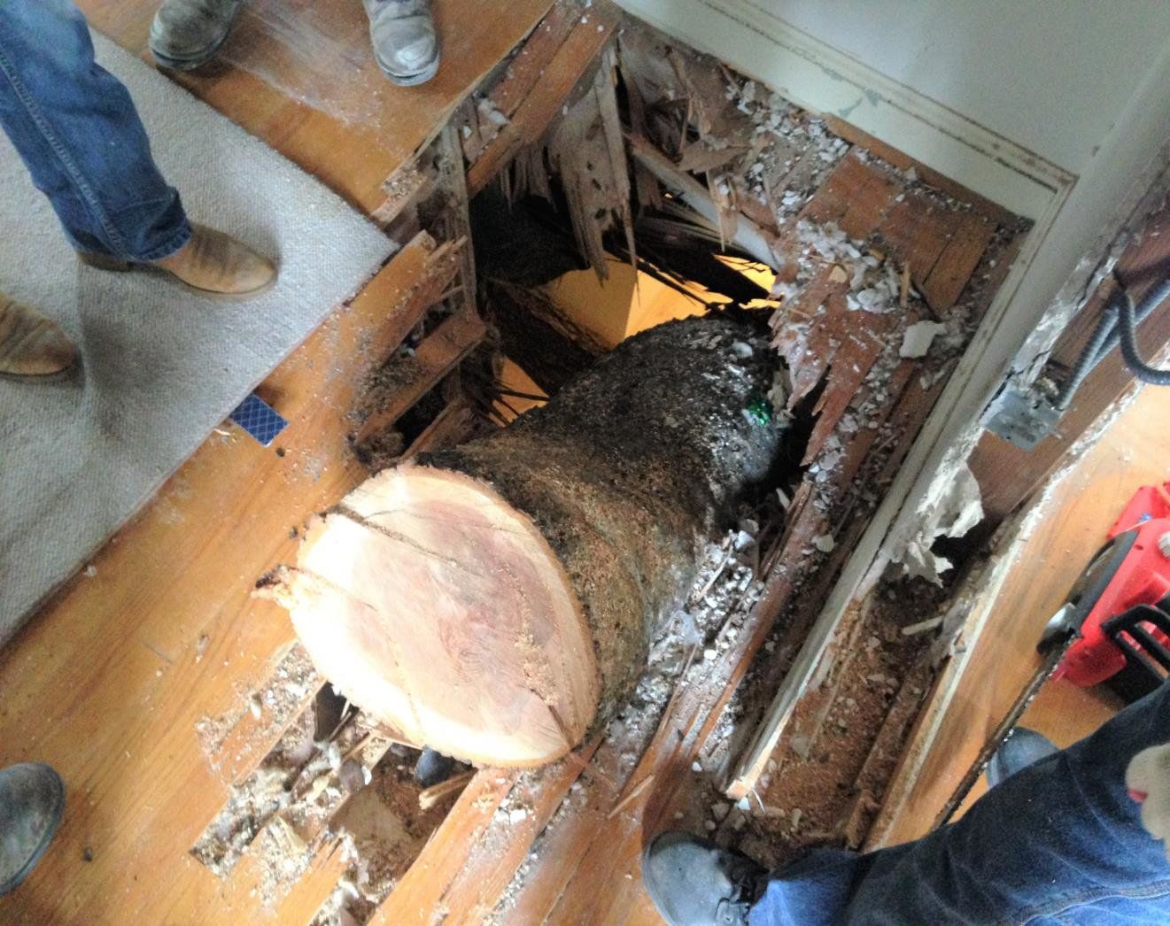 capezio_damage_limb_floor