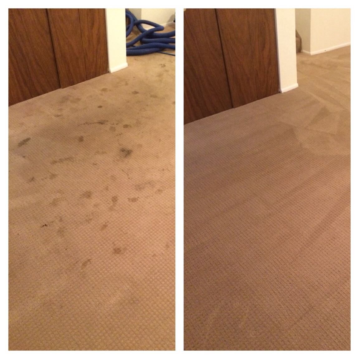 A before and after photo of a dirty carpet