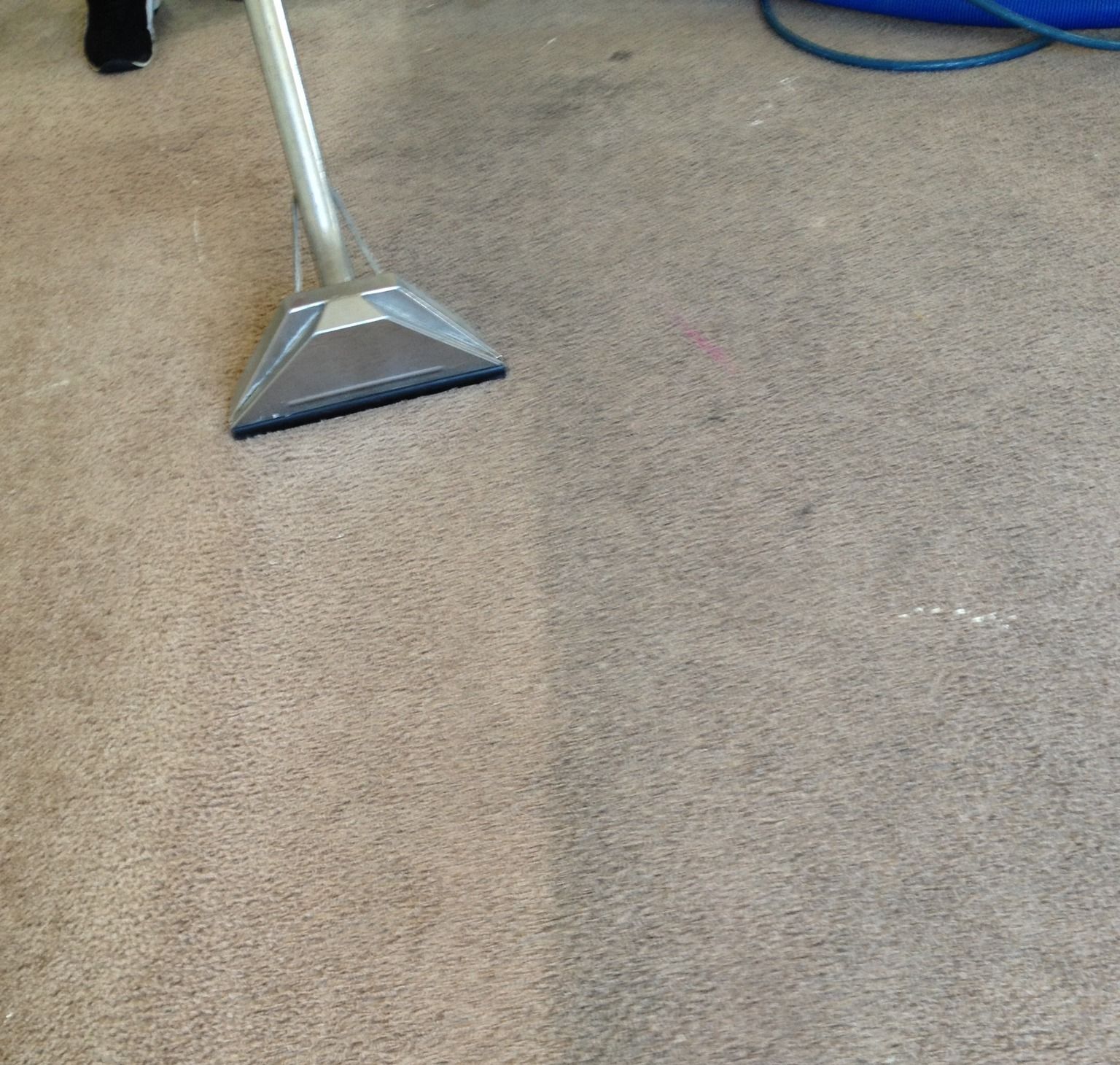A vacuum cleaner is being used to clean a carpet