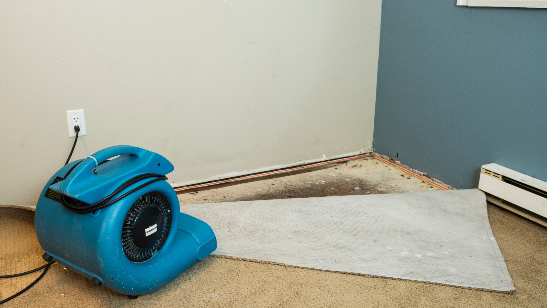 A blue dryer is sitting on a carpet in a room.