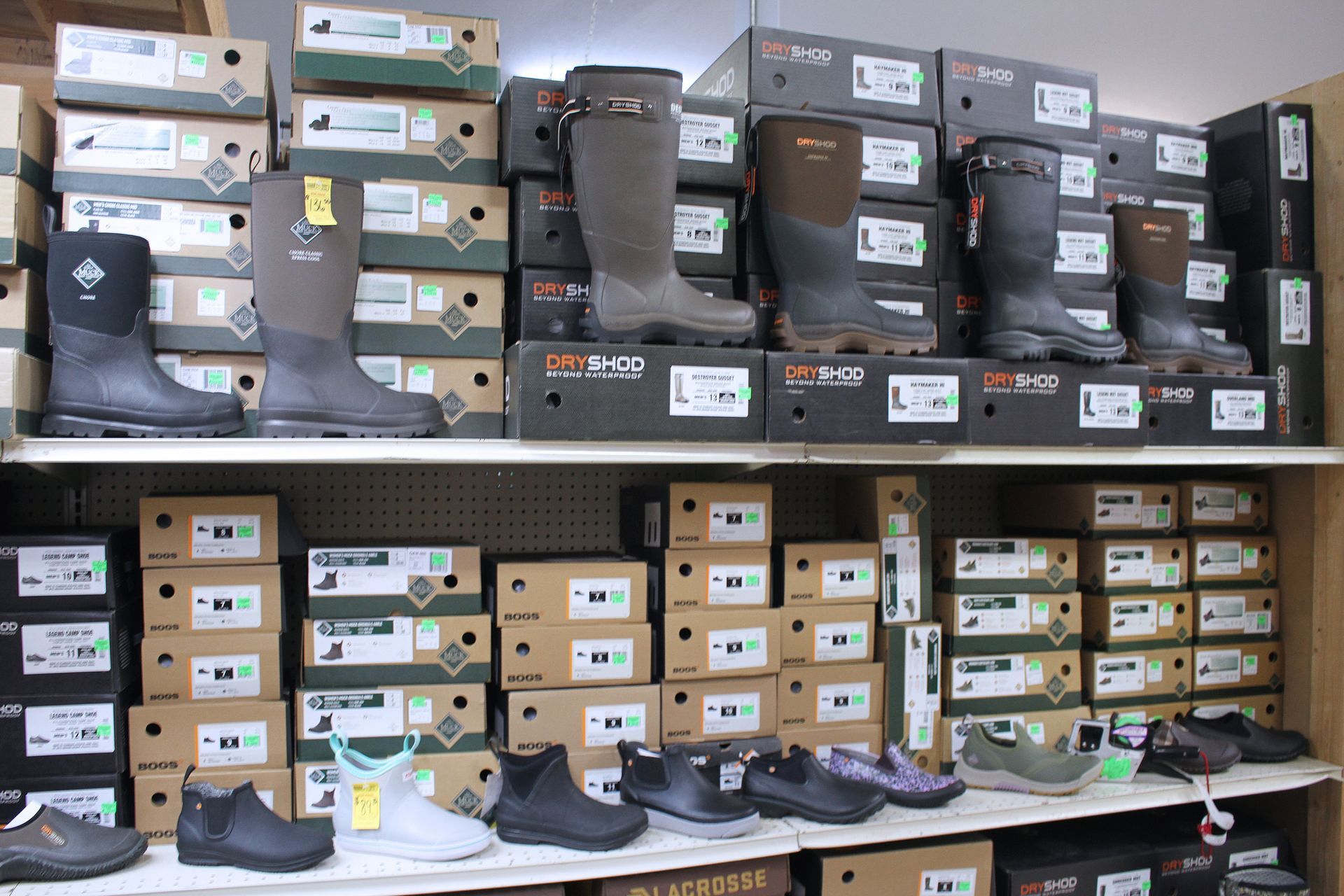 Boots displayed on shelves in a store; various styles and colors in boxes.