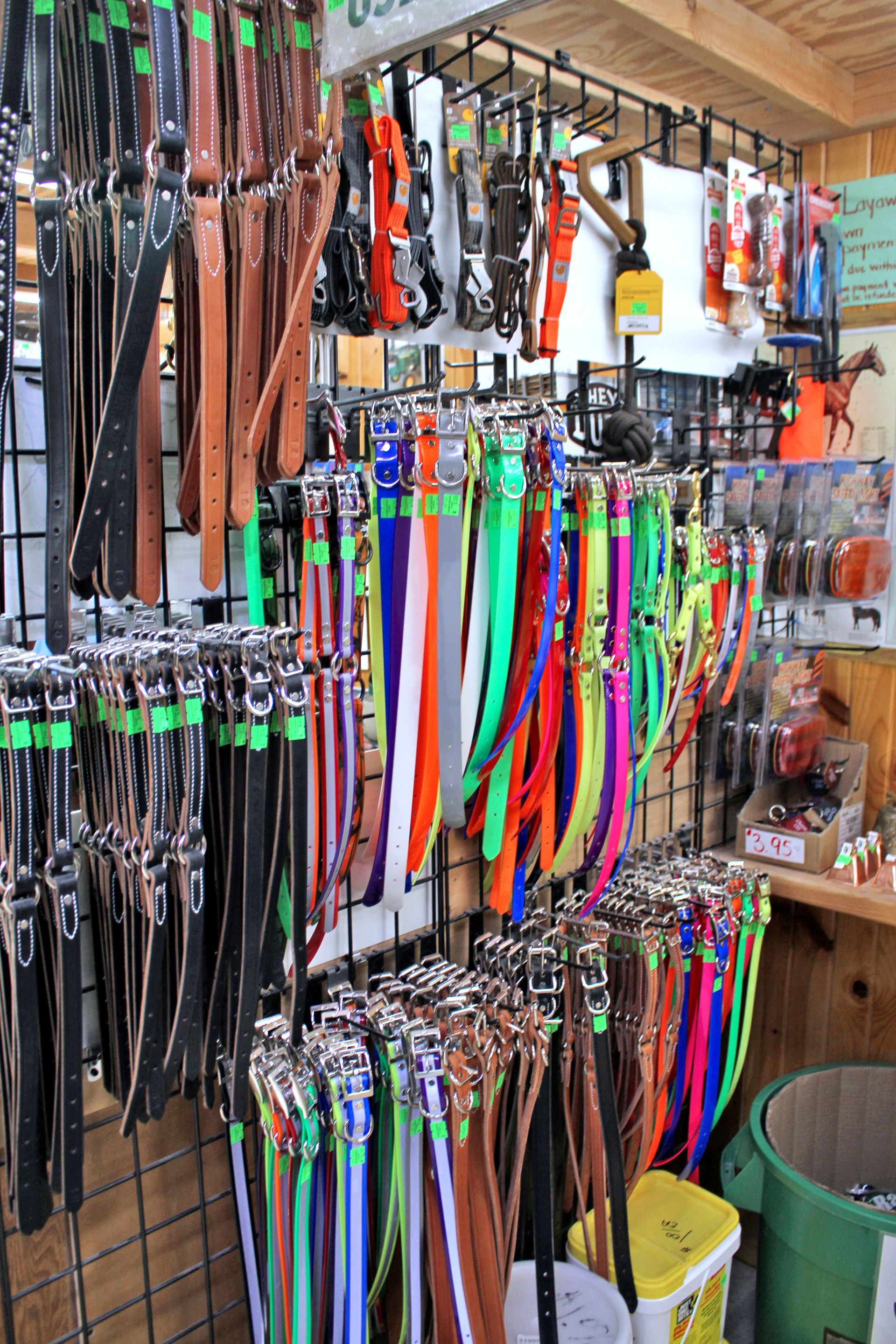 Display of dog collars and leashes in various colors hanging on a retail rack.