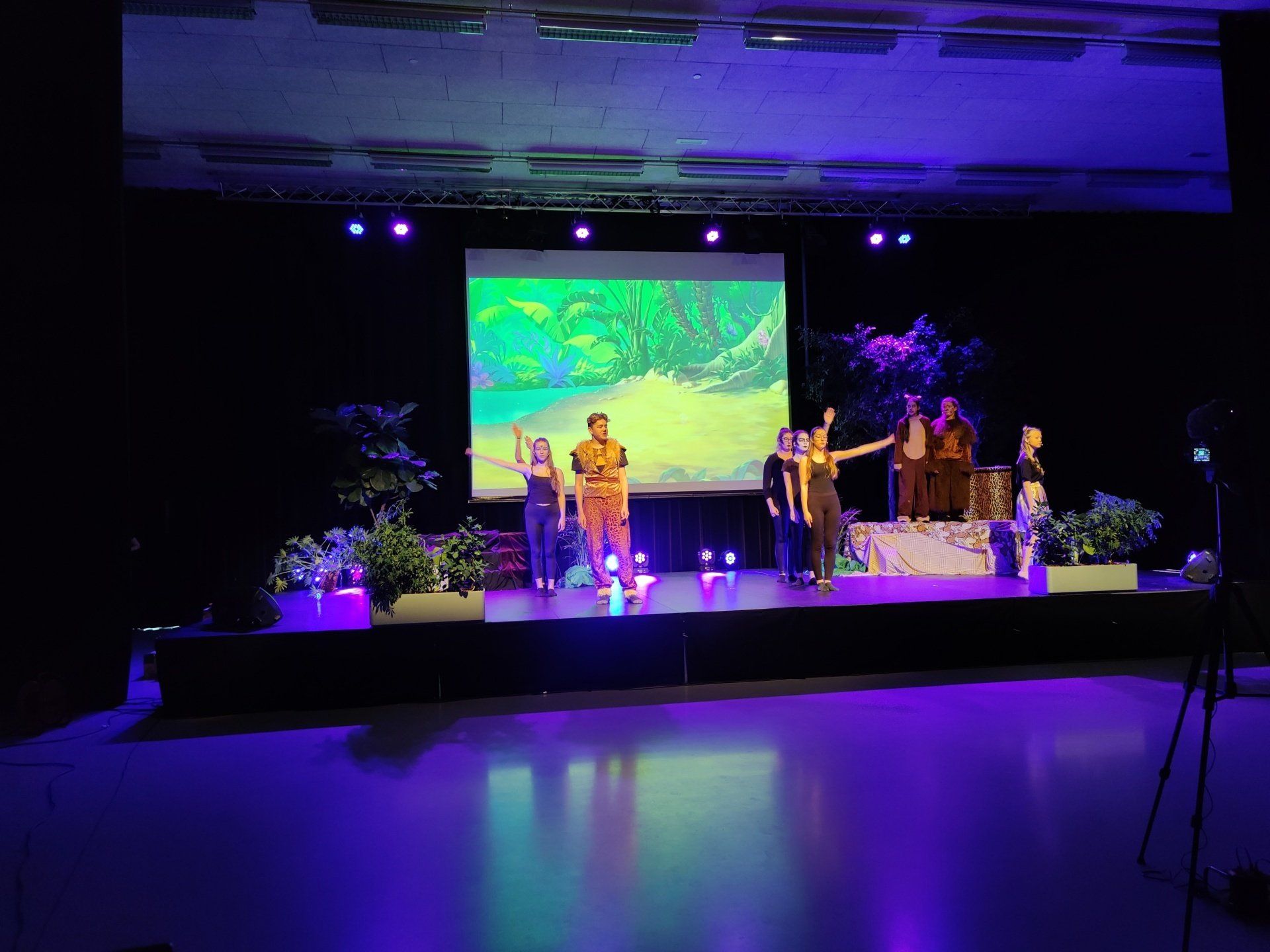 Podium The Lion King 365events