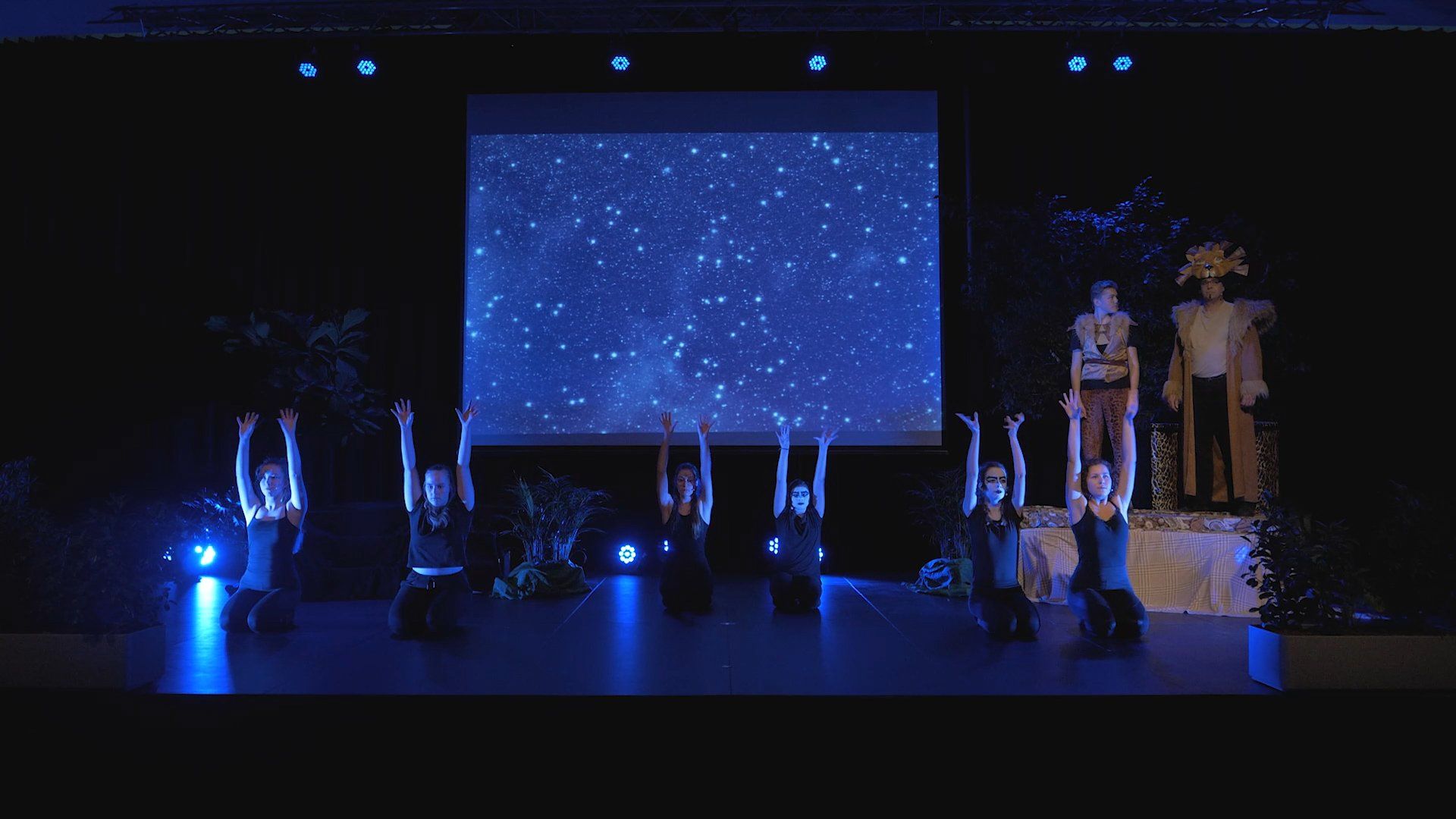 Dans The Lion King 365events