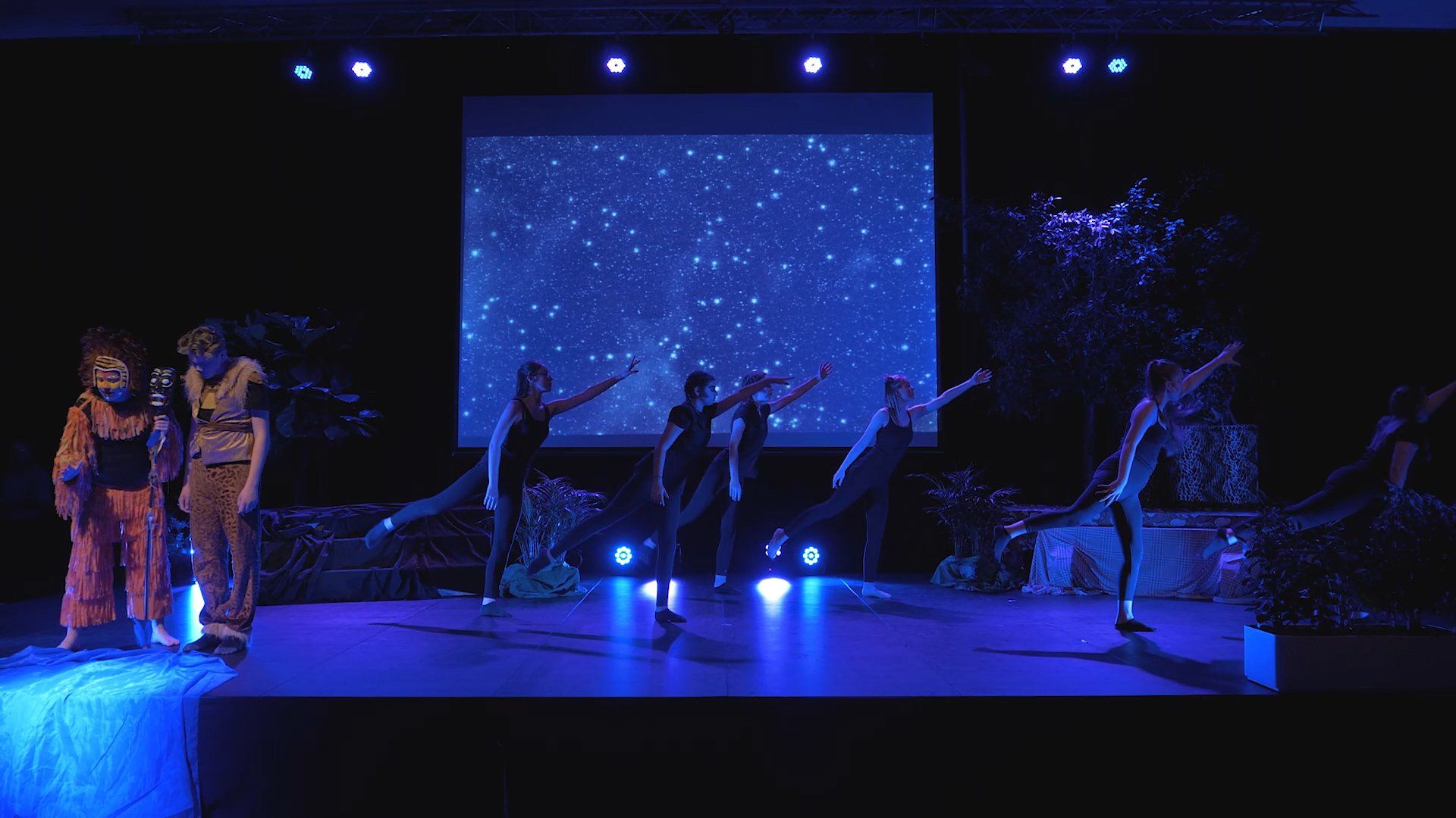 Dans Lion King 365events