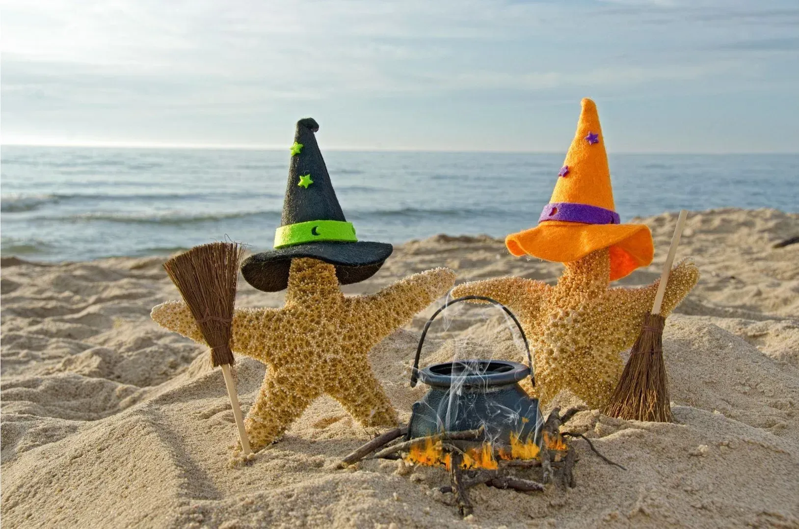 Two starfish wearing witch hats and a cauldron on the beach.