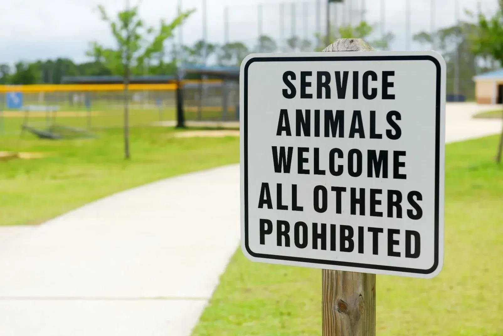 A sign that says service animals welcome all others prohibited