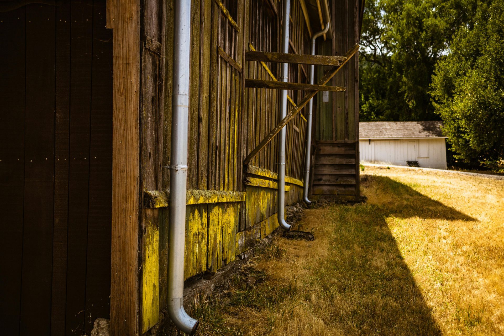 A side view of a weathered wooden barn with metal downspouts, next to a field with a white shed in the background.