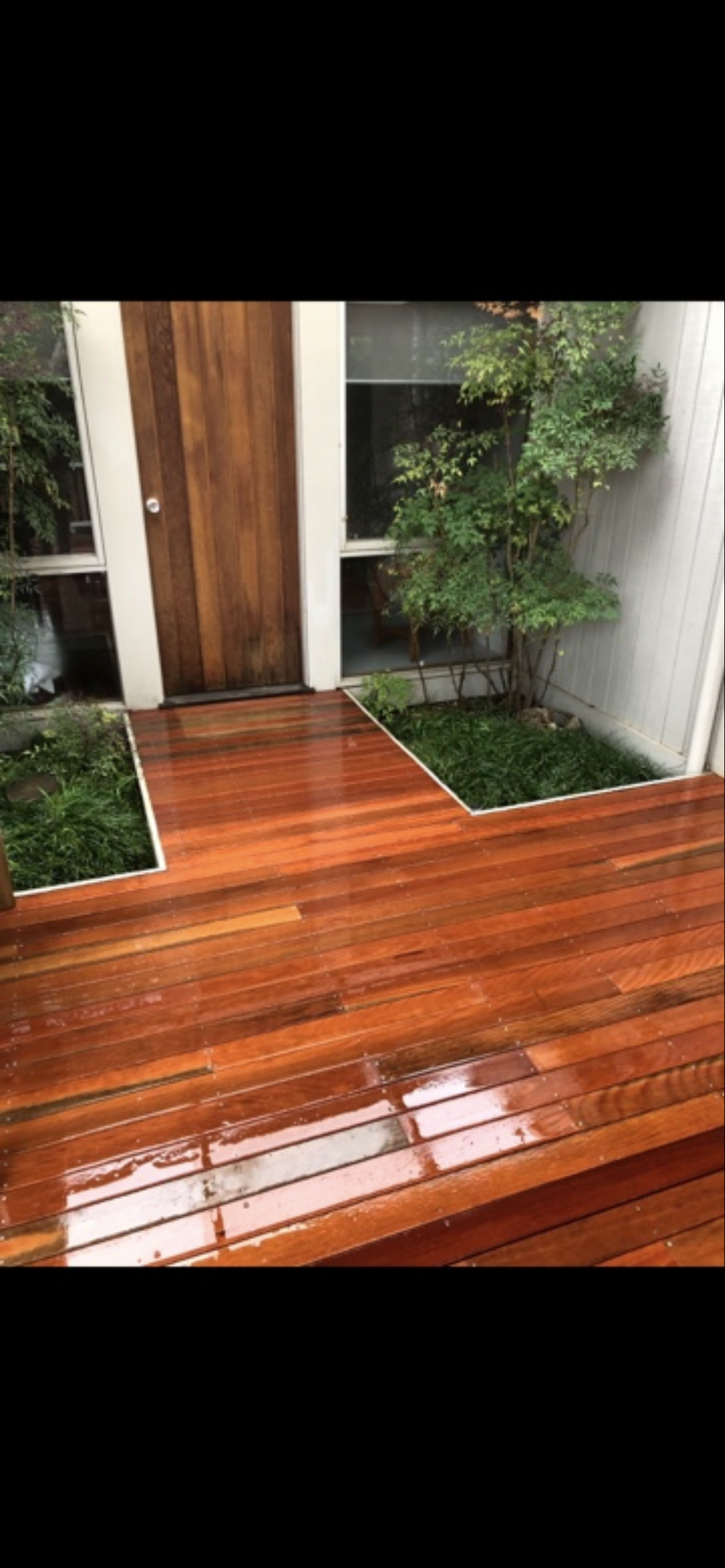Wooden deck and pathway leading to a front door, with plants and a tree nearby.