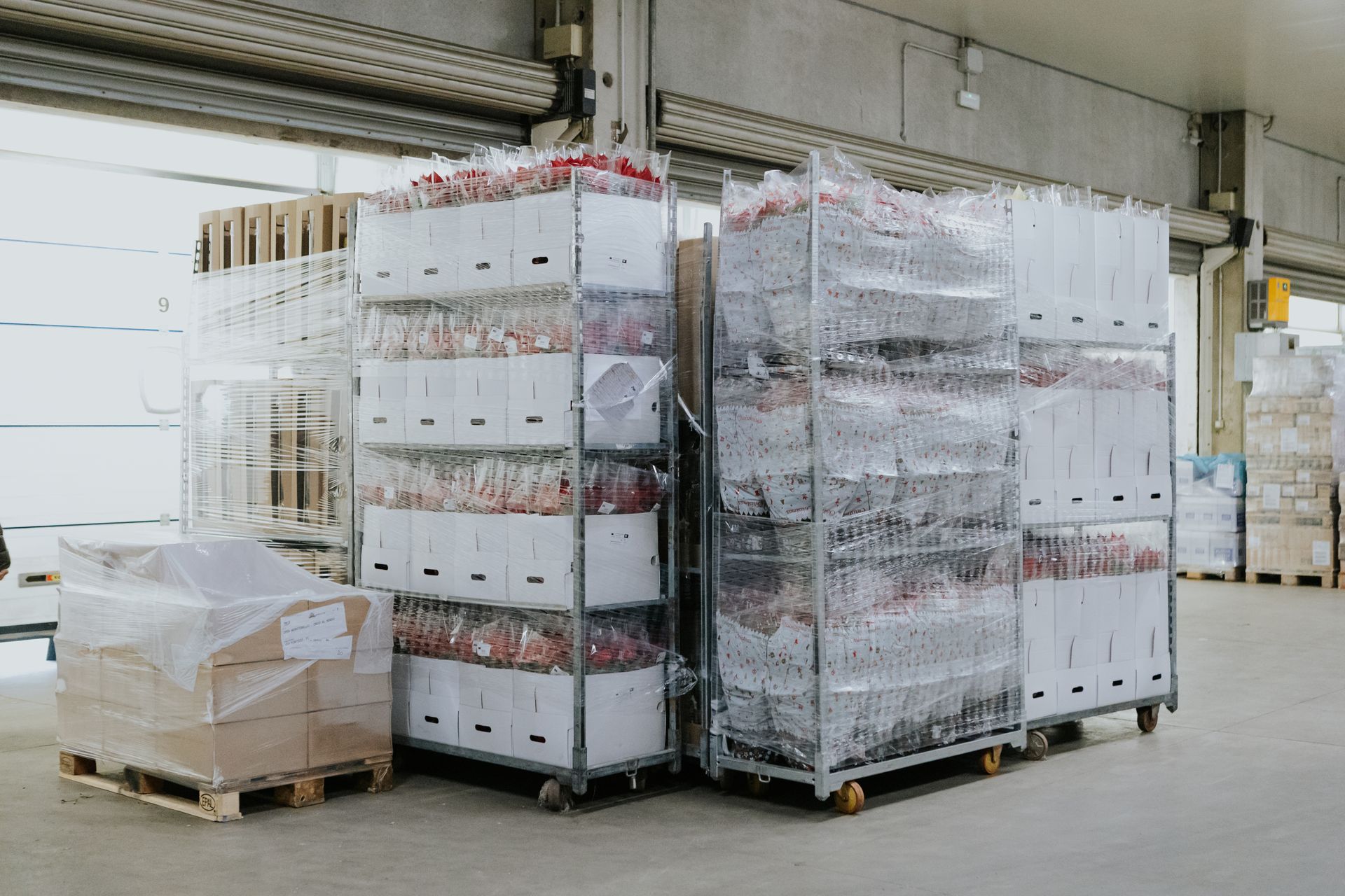 trasporto fiori e piante