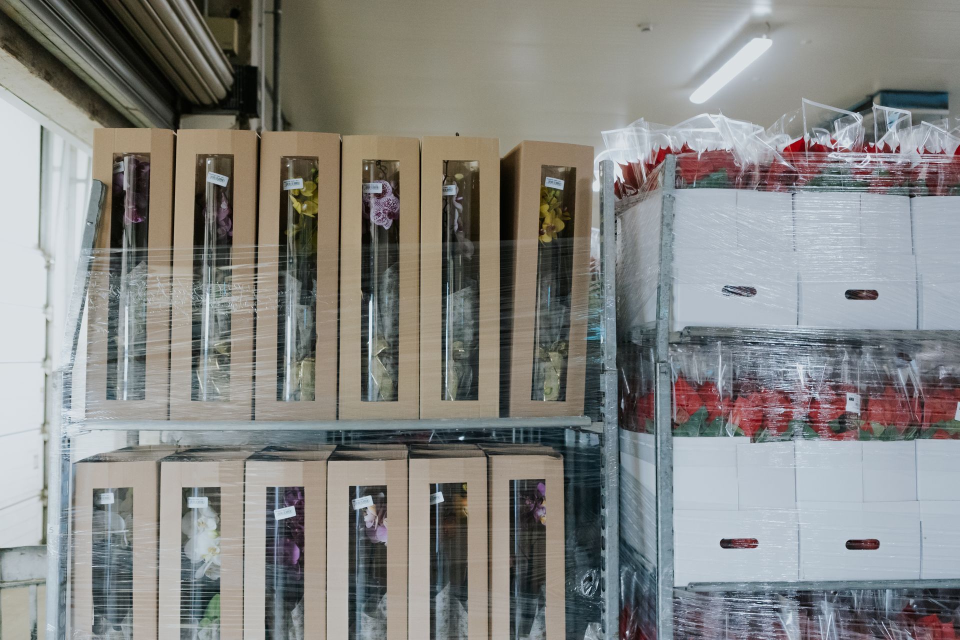 trasporto fiori e piante