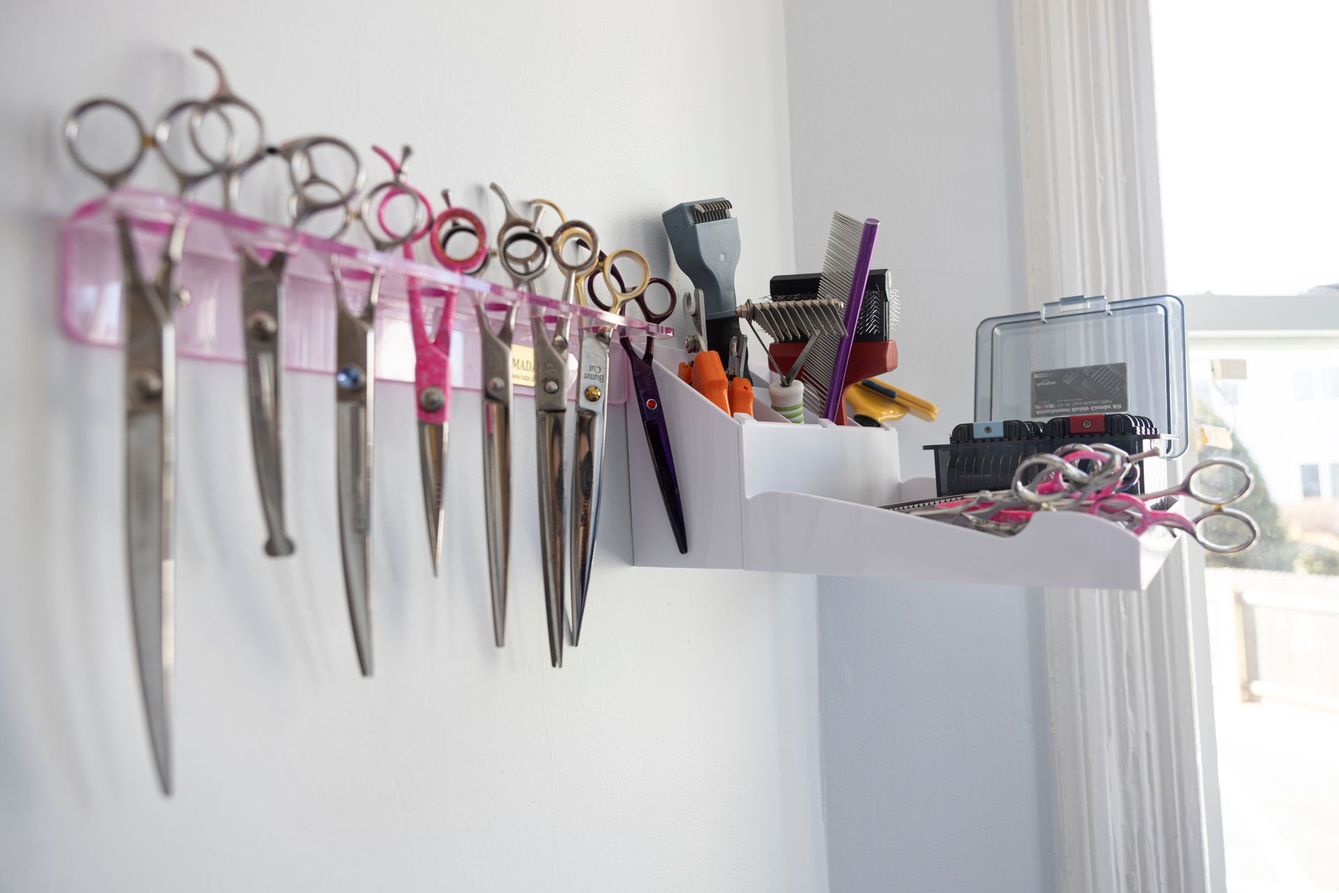 Yorkshire Terrier Getting a Rounded Face