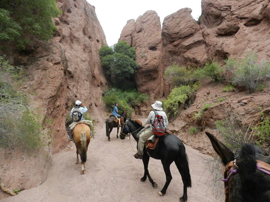 A group of people are riding horses down a dirt road.