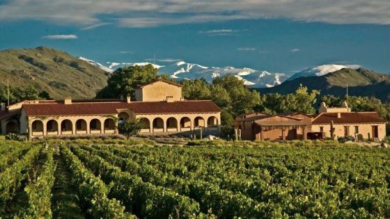 A large building in the middle of a vineyard with mountains in the background.