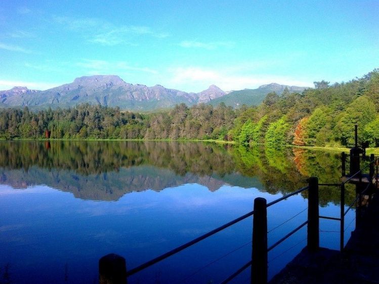 A lake with mountains in the background and trees on the shore