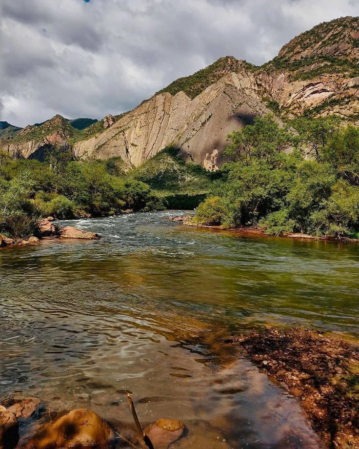 A river flowing through a lush green forest with mountains in the background.