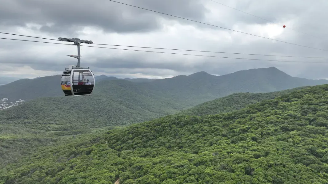 A cable car is flying over a lush green forest.