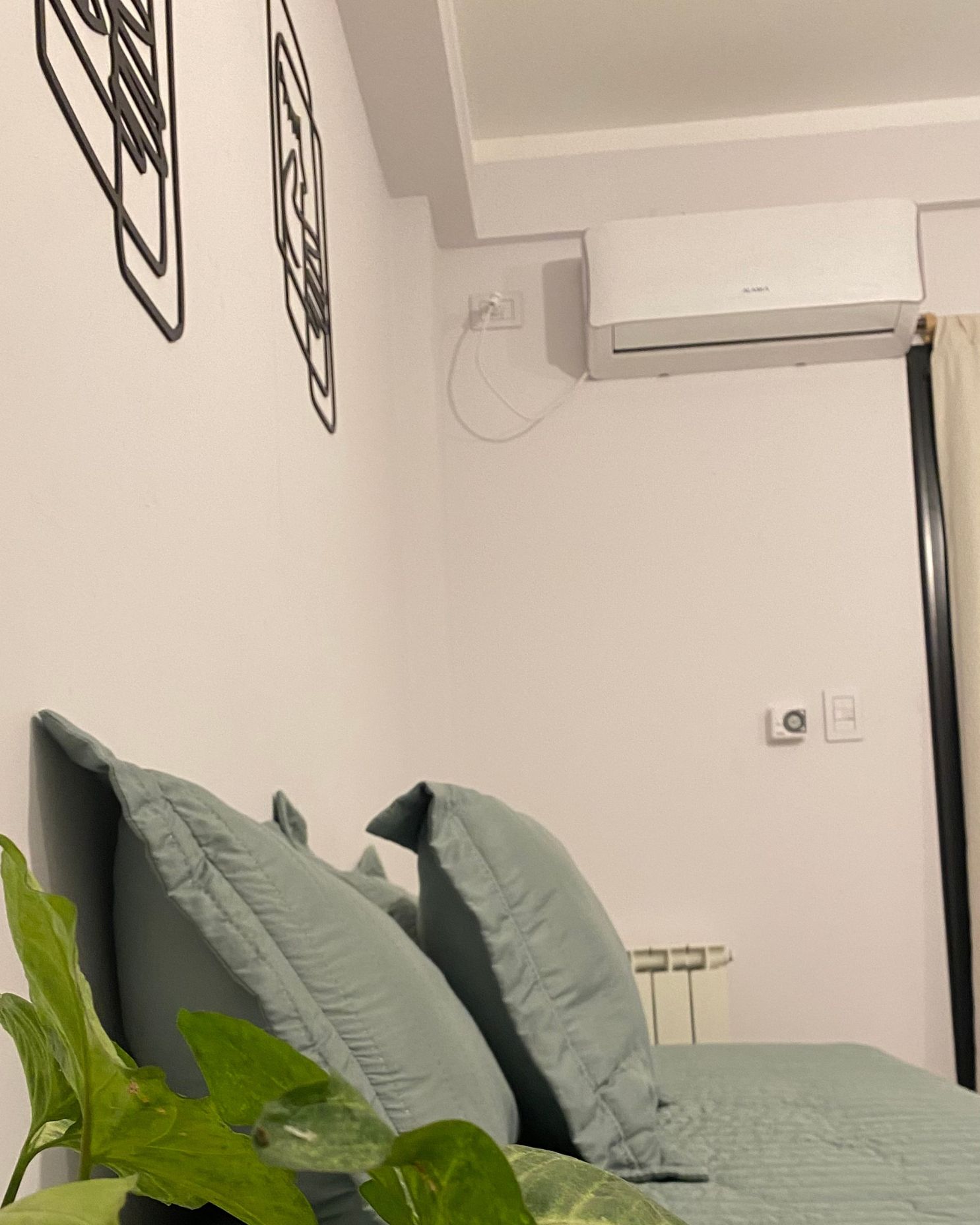 A living room with a couch and a plant