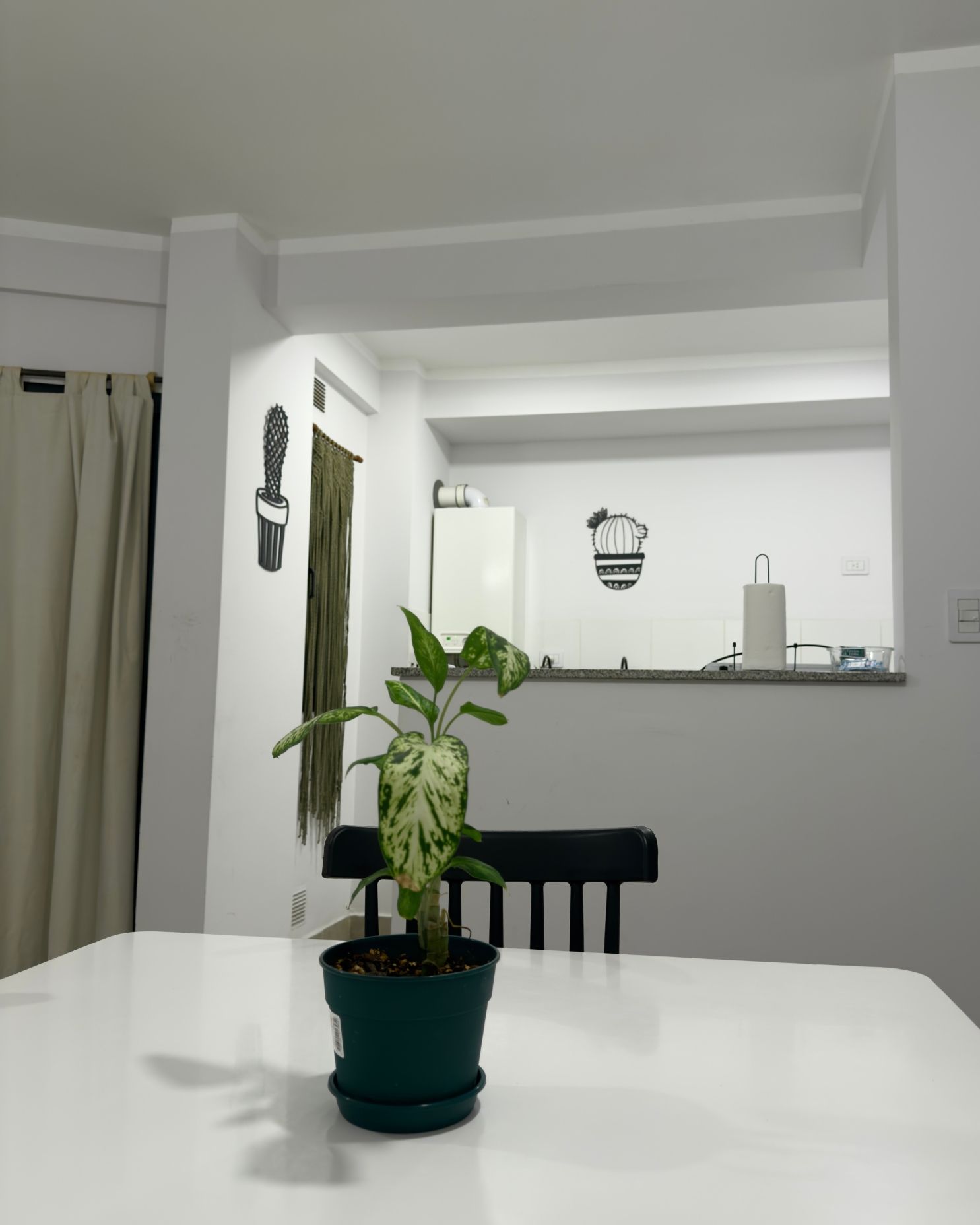A potted plant sits on a white table in a living room